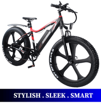 Ausstech Cruiser 26” stylish Electric Mountain bike