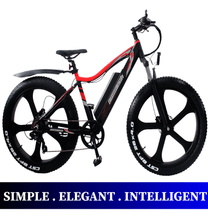 Ausstech Cruiser 26” stylish Electric Mountain bike