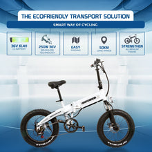 Beach Rider 20 F007 Foldable Electric Bike for sale