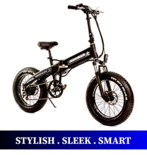 Beach Rider 20 F007 Foldable Electric Bike for sale