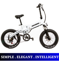 Beach Rider 20 F007 Foldable Electric Bike for sale