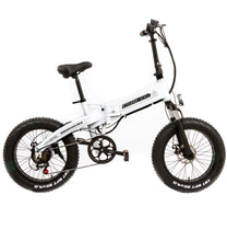 Beach Rider 20 F007 Foldable Electric Bike for sale