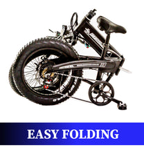 Beach Rider 20 F007 Foldable Electric Bike for sale