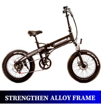 Beach Rider 20 F007 Foldable Electric Bike for sale