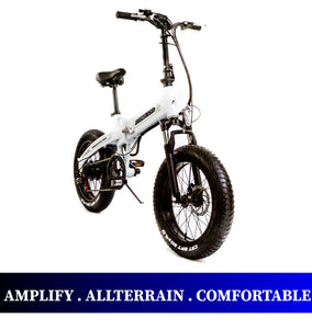 Beach Rider 20 F007 Foldable Electric Bike for sale